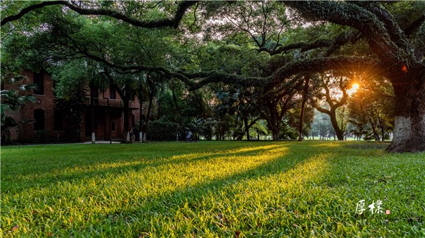 陈寅恪故居夕照