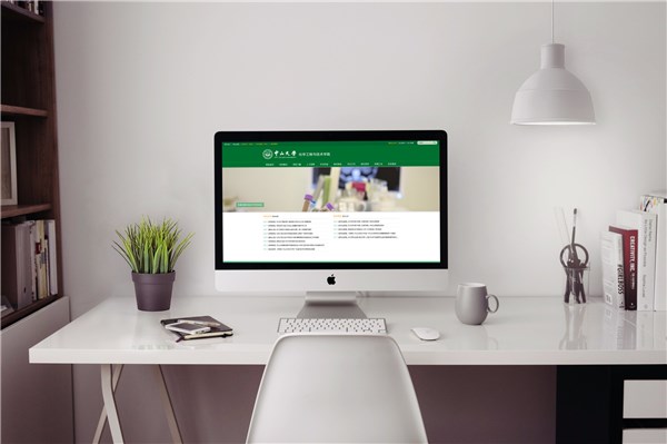 中山大学化学工程与技术学院官网面世