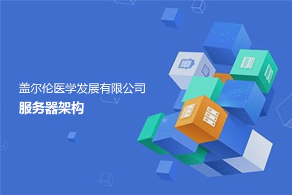 广东盖尔伦医学发展有限公司服务器架构